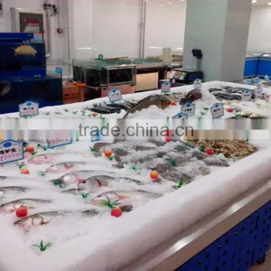 APEX Custom Make Stainless Steel Refrigerated Fish Display Table thumbnail-1