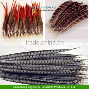 Wholesale Beautiful Natural Pheasant Feathers Fringe Craft All Wedding Favor Craft Trimmings thumbnail-2