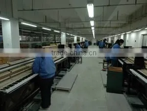Nanjing Schumann Piano Manufacturing Co., Ltd. company overview - view 1 thumbnail
