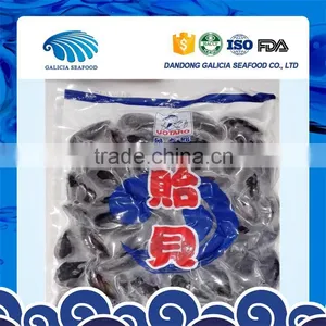 Frozen Mytilus Edulis Whole Mussels Shellfish With Wholesale Prices thumbnail-1