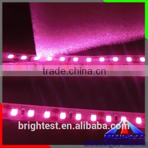 Pink Color LED Strip 2835,Led Light Strip Pink Colour thumbnail-2