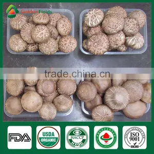 Shiitake Stems,Shiitake Mushroom Spores,Shiitake Growing thumbnail-3