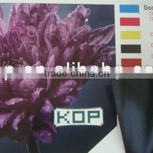Black Glue & High Glossy White Calendered Vinyl thumbnail-1