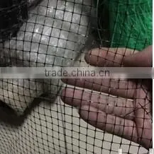 PP Anti-mole Netting/plastic Mole Net thumbnail-1