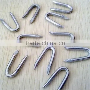 Galvanized U Shaped Nail/U-Shape Nails thumbnail-3