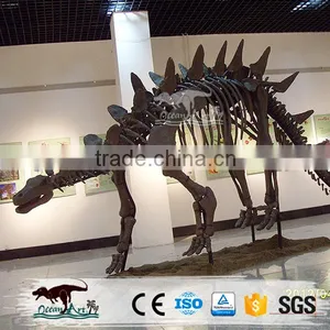 OA4126 High Quality Dinosaur Skeleton Model thumbnail-6