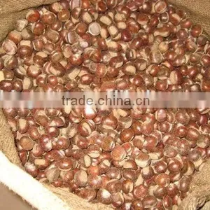 Supply Dried Chestnut With Good Quality for Sale thumbnail-5
