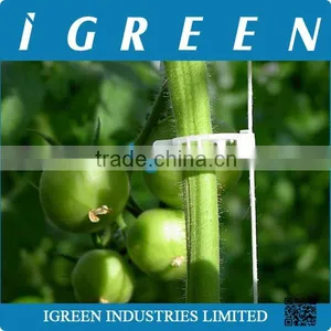 Tomato Clip for Vegetable in Greenhouse thumbnail-1