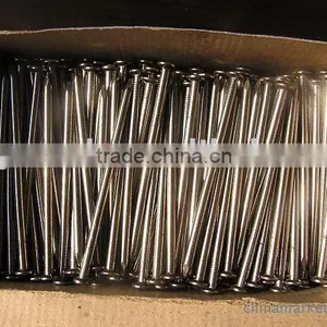 Polish Common Wire Nail(common Round Wire Nails) thumbnail-1