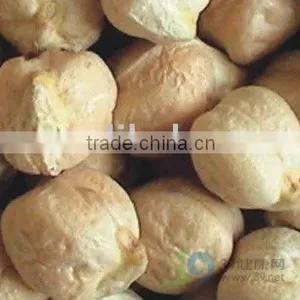 Kabuli Chickpea in Bulk thumbnail-1