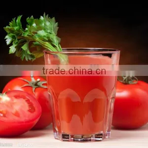 Complete Set of Tomato Juice Processing Line thumbnail-1
