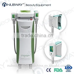 500W Newest Freeze Fat Slimming System Cryolipo 3.5