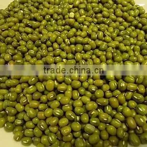 Green Moong Beans thumbnail-1