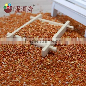 Best Price of Red Broomcorn Millet 2015 Crop Market Price thumbnail-1