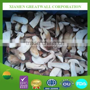 2016 Crop Frozen Boletus Edulis Mushroom With Best Price thumbnail-1