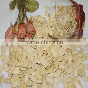 Harvest Shien Skin Pumpkin Seeds thumbnail-1