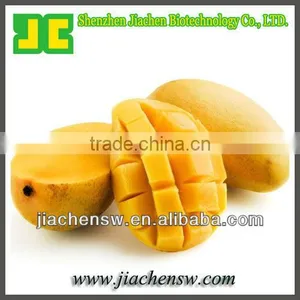 Mango Seed Extract Powder for Losing Weight thumbnail-1