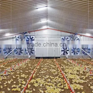 Steel Structure Chicken Shed /environmental Control Steel House thumbnail-2