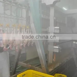 Poultry Abattoir Machine for Chicken Slaughterhouse thumbnail-1