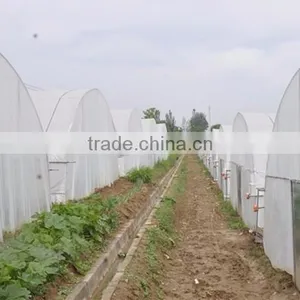 Cheap Tunnel Greenhouse thumbnail-5