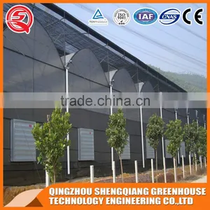Multifunction Plastic Film Greenhouse for Agricultural Farming thumbnail-4