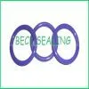O-ring thumbnail-2