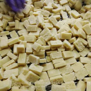 Frozen Ginger Puree 20g 1kg thumbnail-1