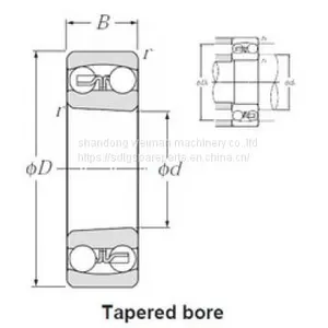 Self Aligning Ball Bearings thumbnail-1