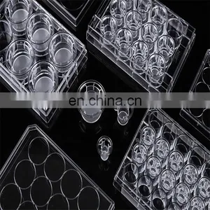 Lab Consumables 12 Inserts/6 Well Cell Culture Flask Cell Inserts thumbnail-1