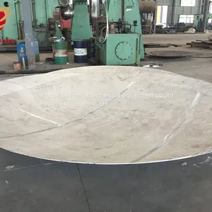 Large Stainless Steel Spherical Head With White Paint 5700mm*12mm thumbnail-1