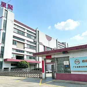 Guangdong Polystar Materials Technology Co., LTD. company overview - view 1 thumbnail