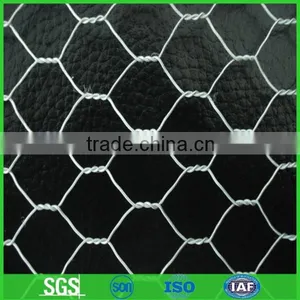 Chicken Wire Mesh, Poultry Wire Netting thumbnail-1