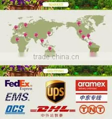 Fujian Anxi Walden Crafts Co., Ltd. company overview - view 3 thumbnail