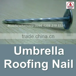 China 1 Lb. Electro Galvanized Umbrella Head Roofing Nails thumbnail-1