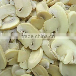 Champignon PNS thumbnail-2