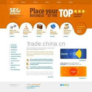 Professional Social Media Optimization Services in India thumbnail-2