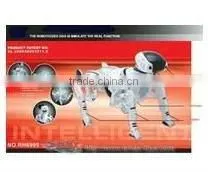 Rm-6999 Electronic Robot Dog Toy thumbnail-1