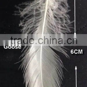 6CM Washed White Goose Feather thumbnail-1