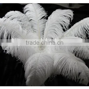 Boardwalk Professional Ostrich Feather Duster thumbnail-6
