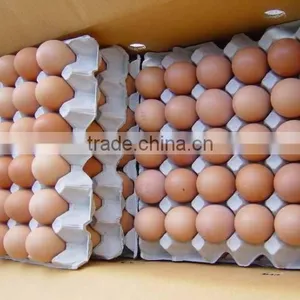 Fresh Brown Eggs thumbnail-1
