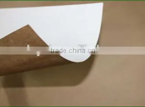 Uncoated White Top Kraft Liner thumbnail-1