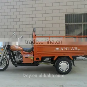 Motorcycle Rickshaw T-rex Motorcycle Trike (SY150ZH- C5) thumbnail-2