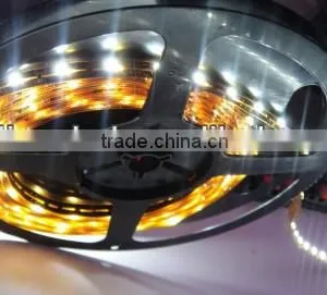 12v 5m 60led Outdoor Led Strip Light, China Supplier thumbnail-1