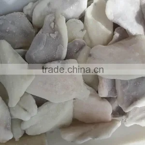 2016 New Coming Frozen John Dory Fillet for Market thumbnail-2