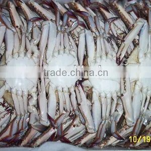 Frozen Crab thumbnail-2