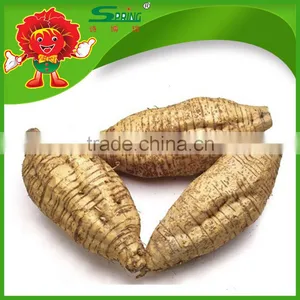 Supply High Quality Kudzu/kudzu Root/kudzu Root Powder thumbnail-1