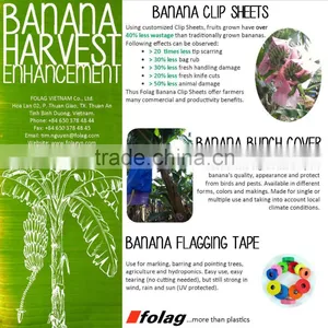Banana Clip-Sheet thumbnail-3