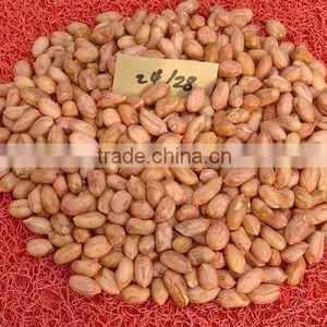 Peanut, Peanut Kernel, Blanched Peanut Kernel thumbnail-1