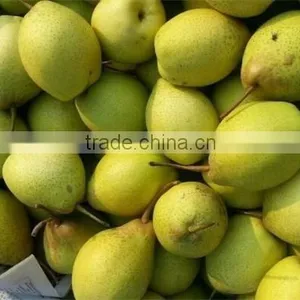 Juicy ya Pear thumbnail-1