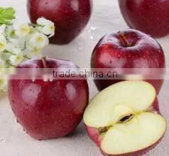 Sweetest Red Color Fresh Fruit Huaniu Apple From China thumbnail-2